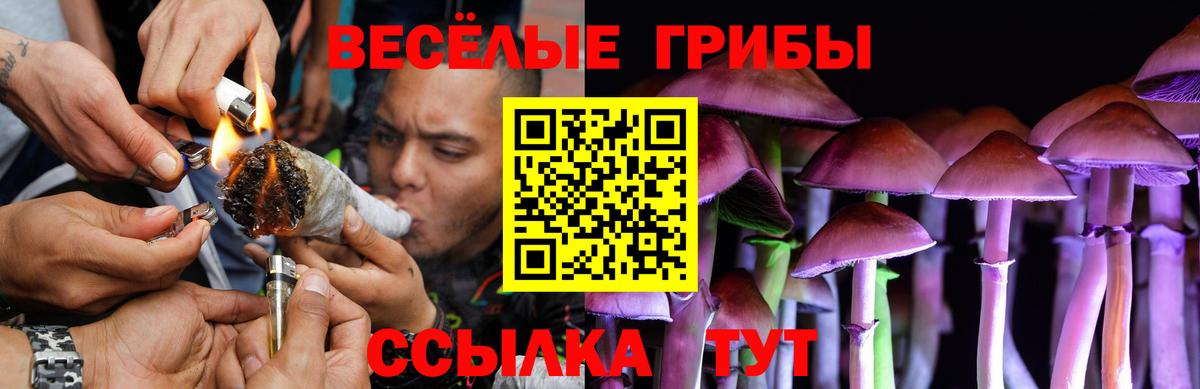 Псилоцибиновые грибы мухоморы  купить   Псилоцибиновые грибы мицелий  Нижневартовск  Вход с VPN 