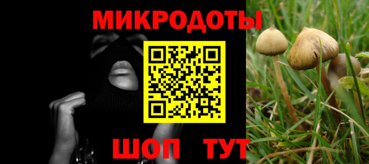 Галлюциногенные грибы мухоморы Нижневартовск